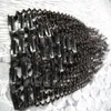 Kinky Curly Clip In Human Hair Extensions 4B 4C Brazilian Human Natural Hair 3B 3C Clip Ins 100g Brazilian clip ins