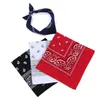 23 couleurs Paisley Bandana bandeau en coton bracelet multifonctionnel foulard Paisley imprimé Cowboy Bandanas mouchoir carré GJJ354