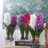 Jacinto de flores artificiales con bulbos, cerámica, flor de seda, hoja de simulación, decoración de jardín de boda, accesorios de mesa para el hogar, planta