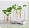 Personalized glass transparent hydroponic vase computer table ins simple flower ware women's clothing store cash register decorations