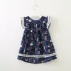 赤ちゃんの女の子花のドレス子供飛んでいる袖の王女のドレス2019夏のファッションブティック子供服2色C6019