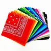 54*54CM Baumwolle Neuheit Doppelseitiger Druck Paisley Bandanas Cowboy Bandana Taschentücher Paisley Print Kopf Wickelschal EEA1190-A