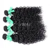 Peruvian Water Wave Curly Hair Weave Obehandlat Peruvian Virgin VMae Hårbuntar 100% brasilianska naturvåg Mänskliga hårförlängningar OPP