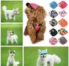 Hondenhoed met oorgaten zomer canvas baseball cap voor kleine huisdier hond outdoor accessoires wandelen huisdier producten 11 stijlen gratis verzending