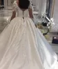 Vestidos De Novia Long Ball Gown Wedding Dresses 2020 Deep V Neck Sheer Long Sleeves Appliqued Lace Arabic Bridal Gowns Plus Size AL4038