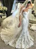 Glamorous Lace Mermaid Wedding Dresses Strapless Open Back Applique Country Wedding Dress Bridal Gowns Beach Style Custom Made 2019