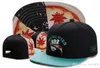 2019 Cayler Sons Branded snapback caps hombres primavera gorra de béisbol unisex carta hip hop sombrero para hombres casual ajustable papá sombreros bone282L