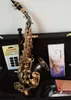 profesjonalny sakrane sax.