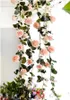 Simulierte australische Rose, dekorative Blumen, Rattan, 1,8 m, Deckenwicklung, simulierte künstliche Blumenrosen scannen