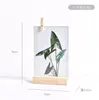 Molduras para fotos nórdicas configurar como um quadro criativo planta geométrica configurar foto moderna moldura minimalista 6 7 polegadas