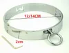 Edelstahl Halsband Sklave Metall Halsband Sexsklavin Rollenspiel Halskette für Frauen Fetisch Zurückhaltung BDSM Bondage