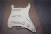 anpassad pickguard