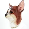 Masques de fête Latex Animal Réaliste Chihuahua Chien Halloween Cosplay Fantaisie Robe Carnaval Masques1