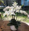 1 Definir orquídeas de alta grau Hand Sentir Tabela de flores Arranjo de flores sem vaso Decoração de escritório em casa de flores artificiais9744978