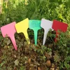 T-type Plastic Plant Tag Plant Markers Garden Gardening Label Plant Flower Nursery Label Tag Marker Thick Tags 10*6cm
