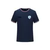Izrael piłka nożna Nowy styl Niestandardowy piłka nożna Polo Men039s Slim Fit Golf Polo Tshirt Men039s Tshirt Sleeve Polo Shirt4389312