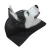 Maschere per feste Divertenti trucchi di Halloween Simulazione Animale Testa di cane Husky Protezione ambientale Materiale Maschera in lattice Decorazione 15865105