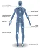 Protable Shock Wave Therapy Shockwave Física Dispositivo para dor eréctil Dysfuntion e Fisioterapia Máquina