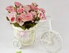 fiori in bicicletta