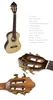 26 "Tom Guitar Ukulele Manufactory Tenor Ukulele Picea Asperata 26"