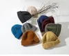 패션 망 모자 겨울 따뜻한 한국어 버전의 거리 뜨개질 양모 멜론 가죽 야외 조수 모자