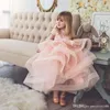 赤ちゃんピンクの花の女の子の服 - 婚約半袖レースのアップリケのためのラフルズオーガンザガールズのページェントドレスの最初の聖体拝領のドレス