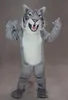 Costume de mascotte de chat sauvage gris, dessin animé EVA, taille adulte, animal de dessin animé pour Halloween, noël, fête de pâques, robe fantaisie
