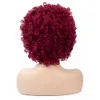 Short Wig Afro Kinky Curly Synthetic Wigs for Women Mixed Wine Red Cosplay African Hairstyles Wigs