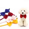 Viele Farben Haustier-Krawatte, Hunde-Krawatte, Halsband, Blumen-Accessoires, Dekoration, Zubehör, reine Farb-Bowknot-Krawatte, Hunde-Fliege