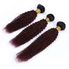 Burgundy Ombre Kinky Curly Human Hair Weave Bundlar med frontlåsning # 1B / 99J Vinröd Ombre Indiska Hair Weft med Lace Frontal 13x4