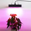 Verenigde Staten Stock Grow Lights 600 W Vierkante Volledige Spectrum Led Grow Light voor Indoor Planten Grow LED Light Bronehouse LED