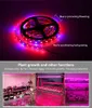 Striscia LED Grow Lights 5M Phyto Strisce luminose a spettro completo SANAN 5050 300 led Fotolampe IP65 Impermeabile per piante idroponiche in serra