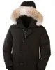 Vendre designers veste Down Parka Men039s Canada Nouvelles arrivales Men039 Guse Chateau Noire Navy Grey Down Jacket Winter Jack7376497