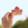 귀여운 kawaii 자연 식물 잎 끈적 끈