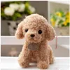 18 cm Simulering Teddy Dog Poodle Plush Toys Cute Animal Suffed Doll för julklapp Kids Toy EEA2641000946