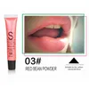 Ny Pearlescent Matt Lip Gloss Makeup Candy Color Lip Glaze Långvarig Vattentät Glitter Flytande Läppstift 12 Färger