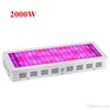 600 W 800 W 1000 W 1200 W 1500 W 1600 W 1800 W 2000 W LED de chip duplo Grow Light Full Spectrum vermelho/azul/UV/IR para plantas de interior