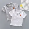 Conjunto de ropa para niños pequeños y bebés, camiseta, Tops y pantalones cortos, 2 uds., conjuntos de ropa de verano para niños