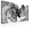 Sans cadre 1 panneau grand HD imprimé toile impression peinture Animal Lion décoration de la maison photos murales pour salon mur Art sur Canv1580747