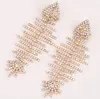 Fashion-New products on the European and American exaggerated big-name multi-layer diamond fish bone earrings female claw chain