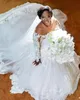 Plus Size Wedding Dresses 2024 Summer Sheer Scoop Neck Lace Appliques Tulle Puffy Long Sleeves A Line Sexy Back Sweep Train Bridal Gowns 403