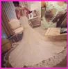 Mermaid Dresses Lace Applique Illusion Sexy Covered Buttons Back Sweep Train Sweetheart Wedding Gown Vestido De Novia