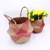 Seagrass Woven Basket Flower Pot Folding Tvättförvaring Belly Type Natural Grass Plant Holder Foldbar Home Decor256n