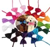 Partihandel Pet Headdress Dog Neck Tie Dog Bow Slips Cat Tie Pet Grooming Supplies Multicolor Free Ship