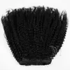 Brasilianer 4a 4c Natürliche Farbe 100g Afro Kinky Courly Cuticle Ausgerichtet Remy Jungfrau Human Hair Extensions Clip in