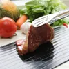 シャープナーシャープナーキッチンデフロスト肉冷凍食品安全ツール高品質ホット高速解凍トレイプレート解凍10 PCS