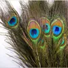 Pure naturalne pawie pióra importowane Peakock Pióra DIY Wazon DIY Dekoracja 25-30 cm W816