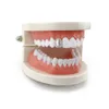 Цельные одиночные алмазные зубы с одной коронкой Grillz Одиночные зубные вмятины Grillz Dientes Grill Grills Брекеты для зубов Dentes Grillz Body 2504744