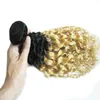 Brezilyalı Kinky Kıvırcık İnsan Saç Demetleri 100% Remy Saç Uzatma 12-24 inç Saç Örgü Demetleri Renk