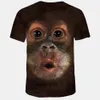 T-shirts pour hommes 3D imprimé animal singe t-shirt à manches courtes conception drôle décontracté hauts t-shirts mâle Halloween t shirt248k